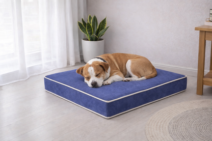 Colchón Perro Terapéutico Viscolatex